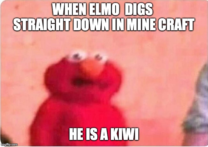 elmo | WHEN ELMO  DIGS  STRAIGHT DOWN IN MINE CRAFT; HE IS A KIWI | image tagged in sickened elmo,lol so funny | made w/ Imgflip meme maker