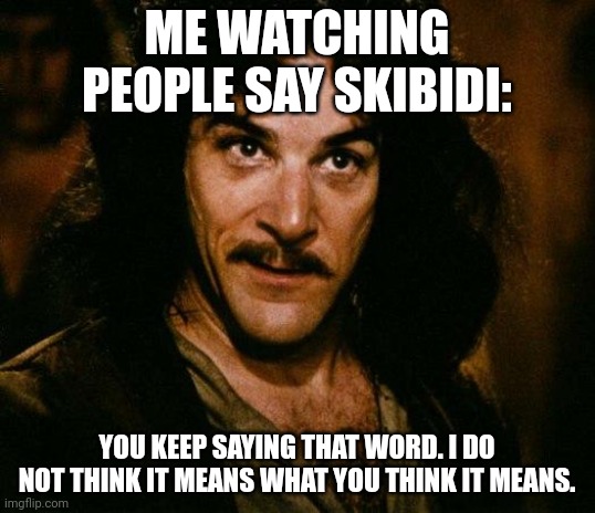 Inigo Montoya Meme | ME WATCHING PEOPLE SAY SKIBIDI:; YOU KEEP SAYING THAT WORD. I DO NOT THINK IT MEANS WHAT YOU THINK IT MEANS. | image tagged in memes,inigo montoya | made w/ Imgflip meme maker