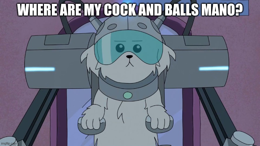 Where are my X, Y? | WHERE ARE MY COCK AND BALLS MANO? | image tagged in where are my x y | made w/ Imgflip meme maker