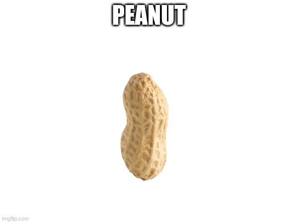 peanut | PEANUT | image tagged in peanut | made w/ Imgflip meme maker