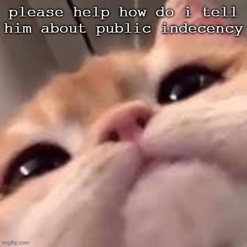 uhhhhhhhhhhhhhhhhhhhhhhhhhhhhhhhhhhhhhhhhhhhhhhhhh no chats are being provided for this | please help how do i tell him about public indecency | image tagged in smug asf cat or shit idk im dumb | made w/ Imgflip meme maker