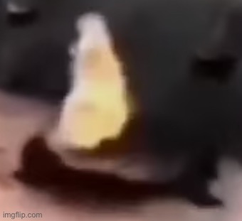 Low quality bullshit | made w/ Imgflip meme maker