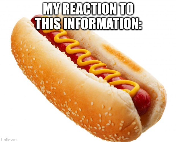 Hotdog | MY REACTION TO THIS INFORMATION: | image tagged in hotdog | made w/ Imgflip meme maker