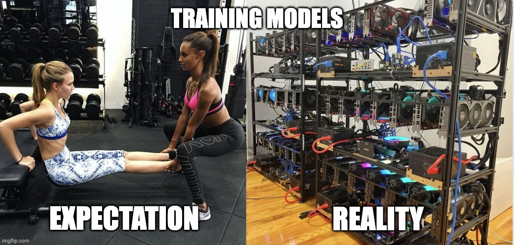 Training models | TRAINING MODELS; EXPECTATION; REALITY | image tagged in training,models,expectation vs reality | made w/ Imgflip meme maker