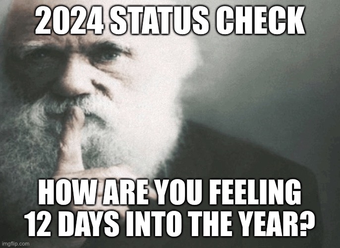 Last week was no | 2024 STATUS CHECK; HOW ARE YOU FEELING 12 DAYS INTO THE YEAR? | image tagged in hush | made w/ Imgflip meme maker