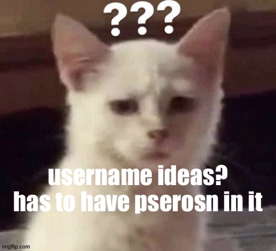? | username ideas?
has to have pserosn in it | made w/ Imgflip meme maker
