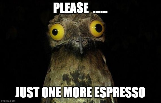 Weird Stuff I Do Potoo | PLEASE  ...... JUST ONE MORE ESPRESSO | image tagged in memes,weird stuff i do potoo | made w/ Imgflip meme maker