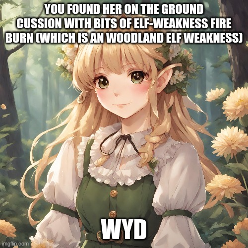 Lerion Sparkleheart | YOU FOUND HER ON THE GROUND CUSSION WITH BITS OF ELF-WEAKNESS FIRE BURN (WHICH IS AN WOODLAND ELF WEAKNESS); WYD | image tagged in roleplaying | made w/ Imgflip meme maker