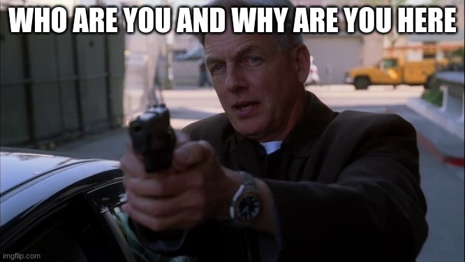 NCIS gibbs | WHO ARE YOU AND WHY ARE YOU HERE | image tagged in ncis gibbs | made w/ Imgflip meme maker