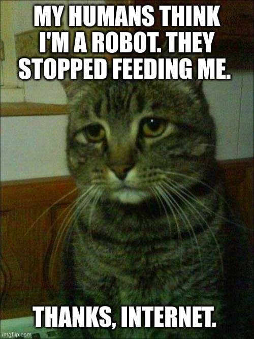 Robot cats and other Internet conspiracies | MY HUMANS THINK I'M A ROBOT. THEY STOPPED FEEDING ME. THANKS, INTERNET. | image tagged in memes,depressed cat,robots,people are weird,stupid people,feed me | made w/ Imgflip meme maker
