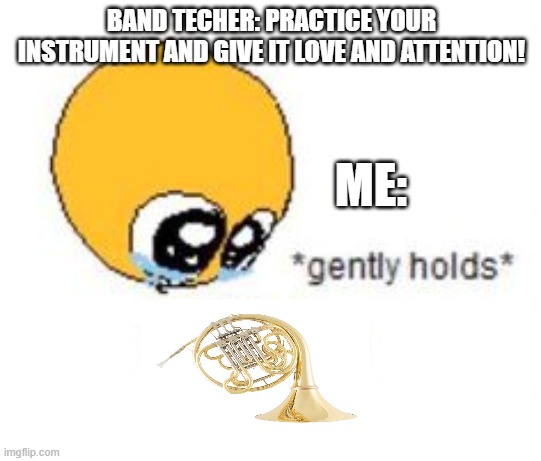 ((mod note:  yes take good care of your instrument)) | BAND TECHER: PRACTICE YOUR INSTRUMENT AND GIVE IT LOVE AND ATTENTION! ME: | image tagged in gently holds | made w/ Imgflip meme maker
