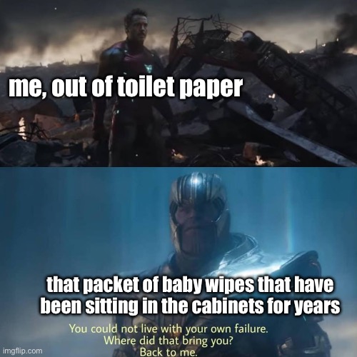 balls | me, out of toilet paper; that packet of baby wipes that have been sitting in the cabinets for years | image tagged in thanos you could not live with your own failure | made w/ Imgflip meme maker