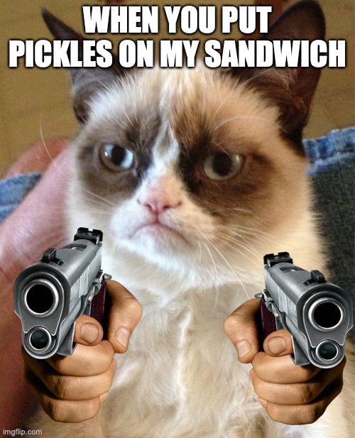 Grumpy Cat | WHEN YOU PUT PICKLES ON MY SANDWICH | image tagged in memes,grumpy cat | made w/ Imgflip meme maker