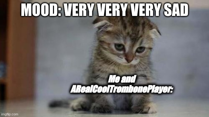 Sad kitten | MOOD: VERY VERY VERY SAD Me and ARealCoolTrombonePlayer: | image tagged in sad kitten | made w/ Imgflip meme maker