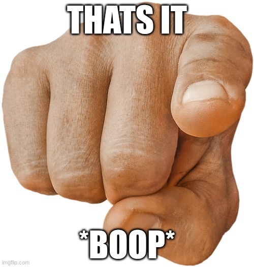 :3 | THATS IT; *BOOP* | image tagged in pointing finger | made w/ Imgflip meme maker