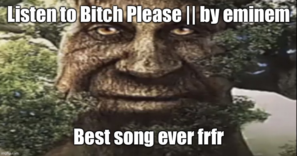 Wise mystical tree | Listen to Bitch Please || by eminem; Best song ever frfr | image tagged in wise mystical tree | made w/ Imgflip meme maker