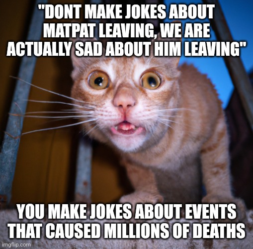 goofy ass cat | "DONT MAKE JOKES ABOUT MATPAT LEAVING, WE ARE ACTUALLY SAD ABOUT HIM LEAVING"; YOU MAKE JOKES ABOUT EVENTS THAT CAUSED MILLIONS OF DEATHS | image tagged in goofy ass cat | made w/ Imgflip meme maker