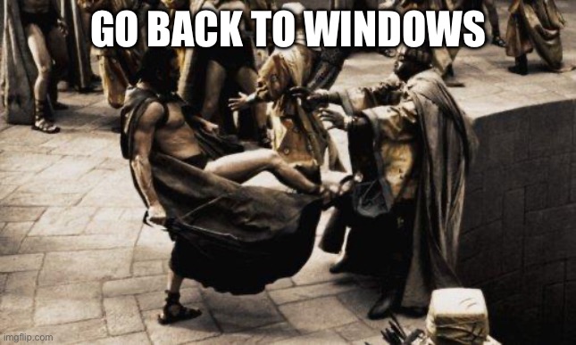 Sparta Kick | GO BACK TO WINDOWS | image tagged in sparta kick | made w/ Imgflip meme maker