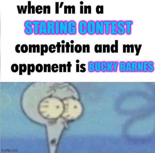 whe i'm in a competition and my opponent is | STARING CONTEST; BUCKY BARNES | image tagged in whe i'm in a competition and my opponent is | made w/ Imgflip meme maker