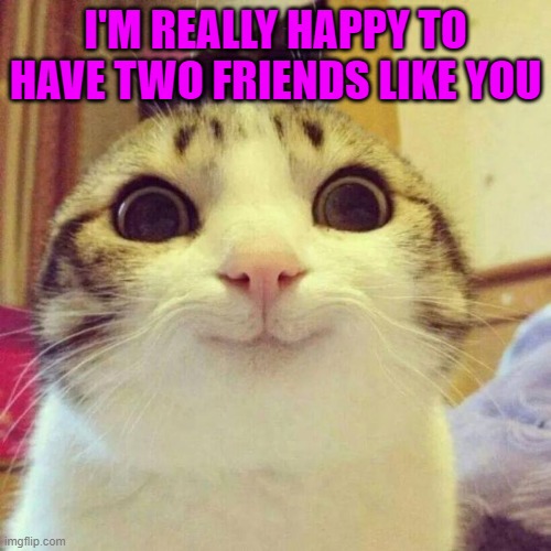 Maybe it was fate, but finally i find who can understand me | I'M REALLY HAPPY TO HAVE TWO FRIENDS LIKE YOU | image tagged in memes,smiling cat | made w/ Imgflip meme maker