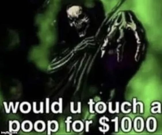 would u touch a poop for 1000 | image tagged in would u touch a poop for 1000 | made w/ Imgflip meme maker