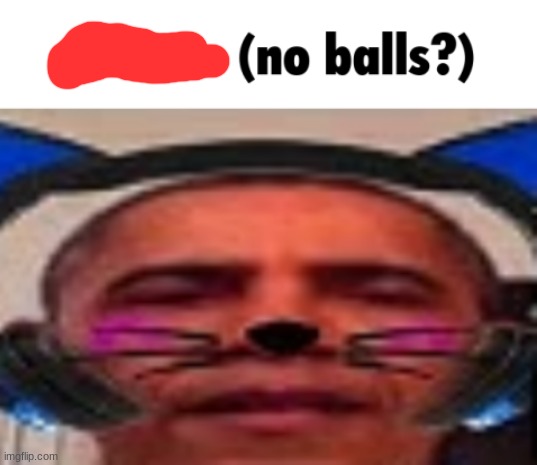 1v1 me (no balls?) | image tagged in 1v1 me no balls | made w/ Imgflip meme maker