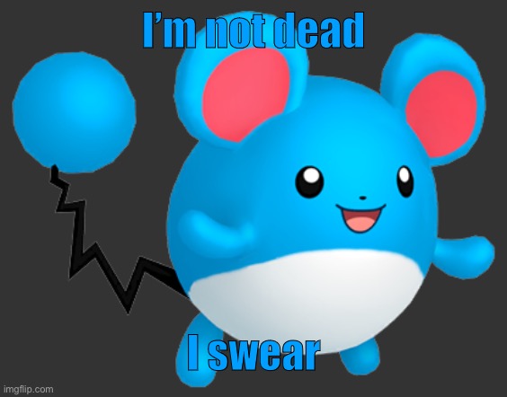 Marill 3 | I’m not dead; I swear | image tagged in marill 3 | made w/ Imgflip meme maker