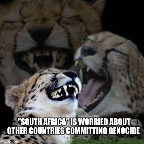 Laughing | "SOUTH AFRICA" IS WORRIED ABOUT OTHER COUNTRIES COMMITTING GENOCIDE | image tagged in laughing,funny memes | made w/ Imgflip meme maker