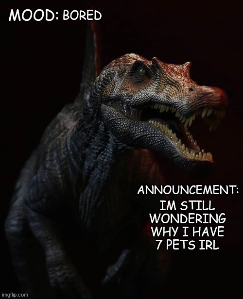clever title real | BORED; IM STILL WONDERING WHY I HAVE 7 PETS IRL | image tagged in jpspinosaurus template 7 | made w/ Imgflip meme maker