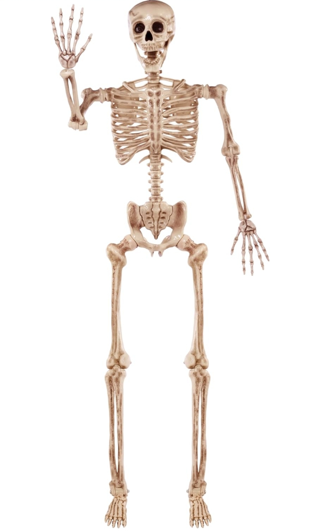 Skeleton Blank Meme Template