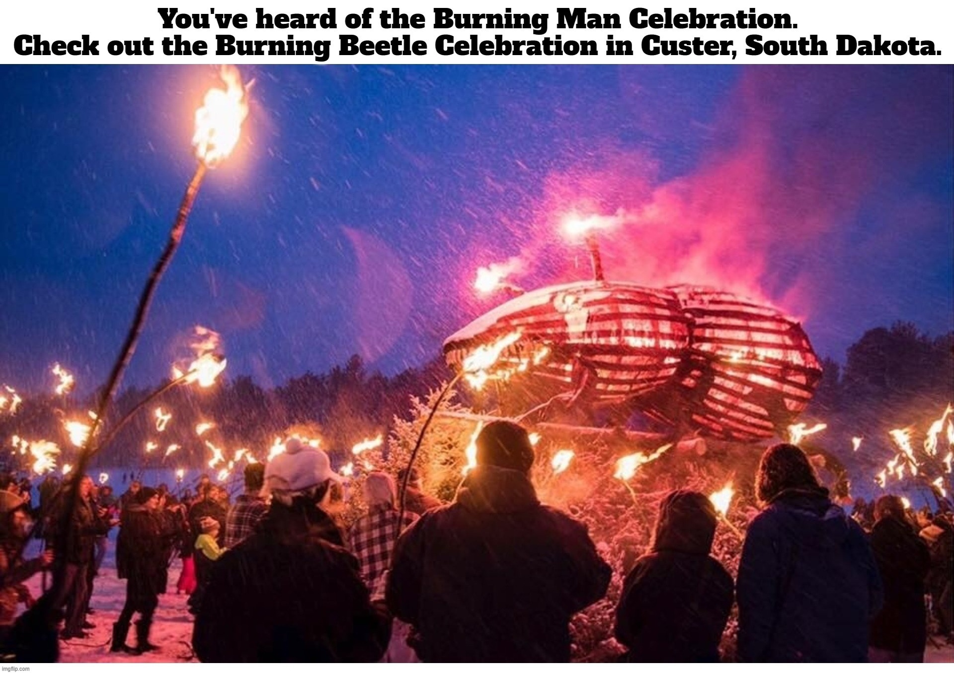 You've heard of The Burning Man Celebration. Check out The Burning Beetle Celebration in Custer, South Dakota! | image tagged in burning man,burning beetle,custer south dakota,south dakota,winter celebration,bonfire | made w/ Imgflip meme maker