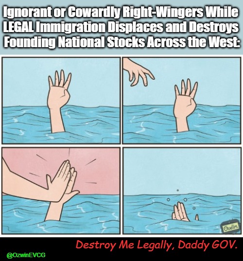 Destroy Me Legally, Daddy GOV. | Ignorant or Cowardly Right-Wingers While 

LEGAL Immigration Displaces and Destroys 

Founding National Stocks Across the West:; Destroy Me Legally, Daddy GOV. @OzwinEVCG | image tagged in immigration,high five drown,war on whites,illegal immigration,antiwestern civilization,big daddy | made w/ Imgflip meme maker