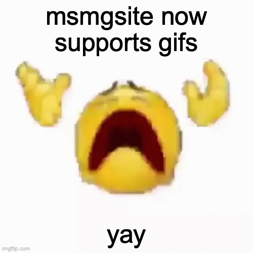 :nooo: | msmgsite now supports gifs; yay | image tagged in nooo | made w/ Imgflip meme maker