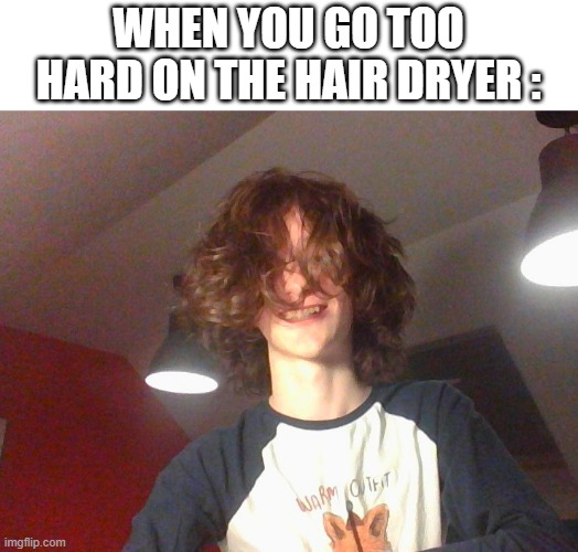 love this wavy thing that hair dryers makes | WHEN YOU GO TOO HARD ON THE HAIR DRYER : | image tagged in hairstyle | made w/ Imgflip meme maker