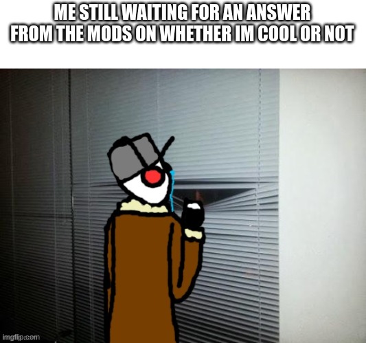 Ducc has an existential crisis | ME STILL WAITING FOR AN ANSWER FROM THE MODS ON WHETHER IM COOL OR NOT | image tagged in ducc has an existential crisis | made w/ Imgflip meme maker