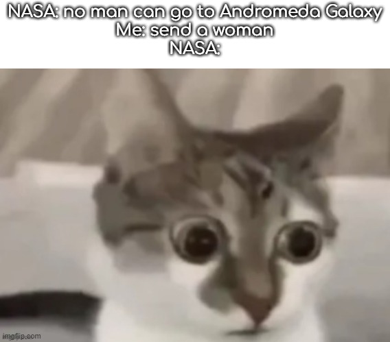 bombastic side eye cat | NASA: no man can go to Andromeda Galaxy
Me: send a woman
NASA: | image tagged in bombastic side eye cat | made w/ Imgflip meme maker