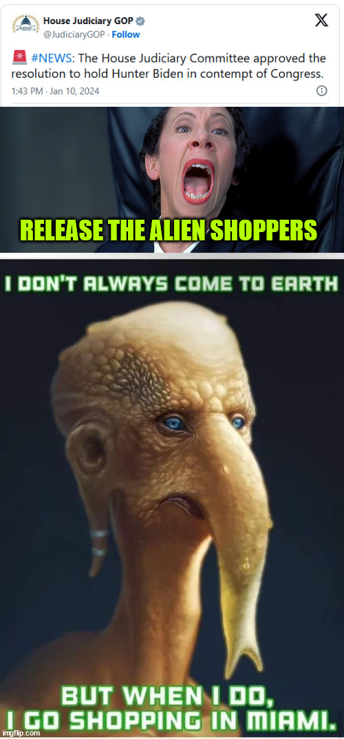 Contempt of Congress resolution for Hunter Biden approved | RELEASE THE ALIEN SHOPPERS | image tagged in frau farbissina,contempt of congress resolution approved,hunter biden,alien distraction | made w/ Imgflip meme maker