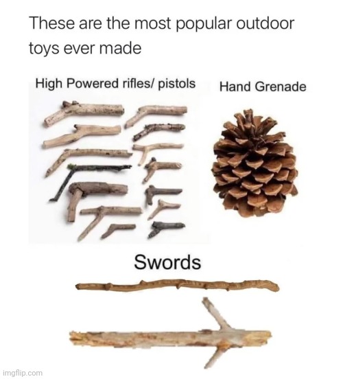 Outdoor toys | image tagged in blank white template,memes,reposts,repost,toys,toy | made w/ Imgflip meme maker