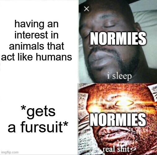 Sleeping Shaq Meme | having an interest in animals that act like humans; NORMIES; *gets a fursuit*; NORMIES | image tagged in memes,sleeping shaq | made w/ Imgflip meme maker