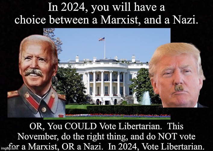 2024 election | image tagged in stalin,biden,hitler,trump | made w/ Imgflip meme maker