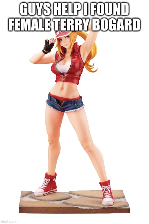 AAAAAAAAA SMA- UH I MEAN UHH | GUYS HELP I FOUND FEMALE TERRY BOGARD | made w/ Imgflip meme maker