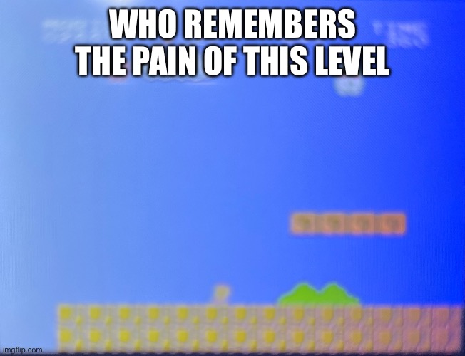 It mario | WHO REMEMBERS THE PAIN OF THIS LEVEL | image tagged in mario | made w/ Imgflip meme maker