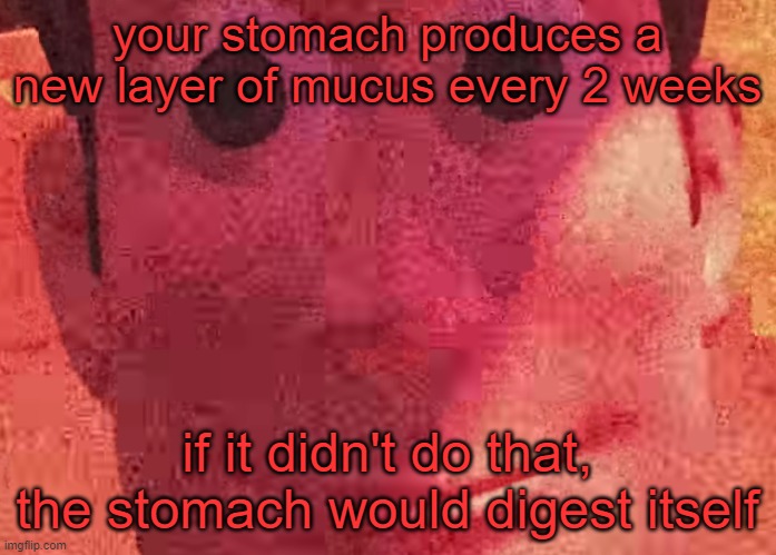 WE TOYS CAN SEE EVERYTHING | your stomach produces a new layer of mucus every 2 weeks; if it didn't do that, the stomach would digest itself | image tagged in we toys can see everything | made w/ Imgflip meme maker