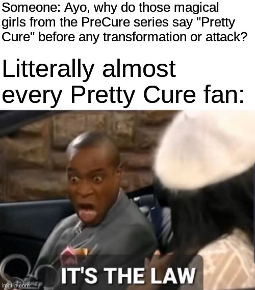 Bruh... very true... | Someone: Ayo, why do those magical girls from the PreCure series say "Pretty Cure" before any transformation or attack? Litterally almost every Pretty Cure fan: | image tagged in it's the law | made w/ Imgflip meme maker