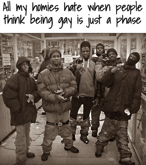 All My Homies Hate | All my homies hate when people think being gay is just a phase | image tagged in all my homies hate | made w/ Imgflip meme maker