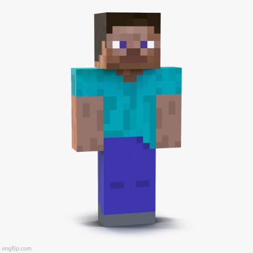 Steve | image tagged in steve | made w/ Imgflip meme maker