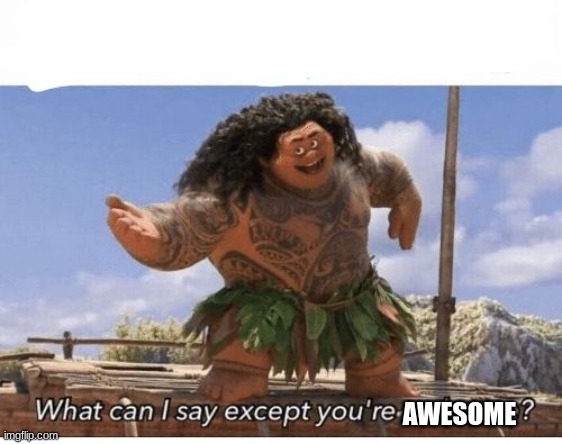 What can I say except you're welcome? | AWESOME | image tagged in what can i say except you're welcome | made w/ Imgflip meme maker