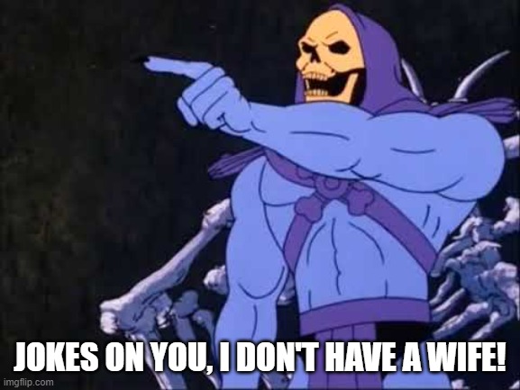 Skeletor | JOKES ON YOU, I DON'T HAVE A WIFE! | image tagged in skeletor | made w/ Imgflip meme maker