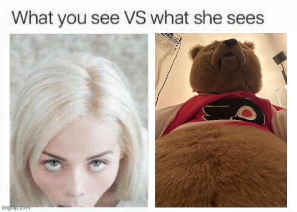 What you see vs what she sees | image tagged in what you see vs what she sees | made w/ Imgflip meme maker