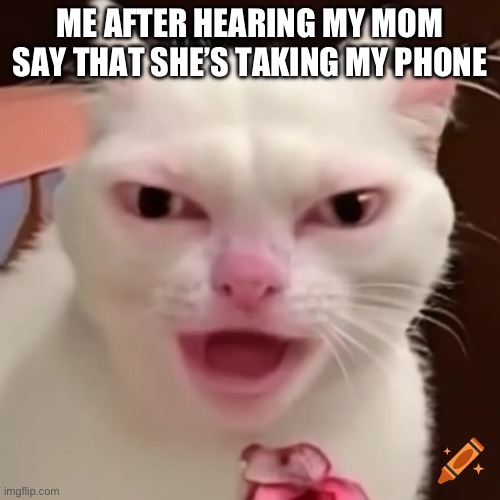 Cat meme | ME AFTER HEARING MY MOM SAY THAT SHE’S TAKING MY PHONE | image tagged in cats | made w/ Imgflip meme maker